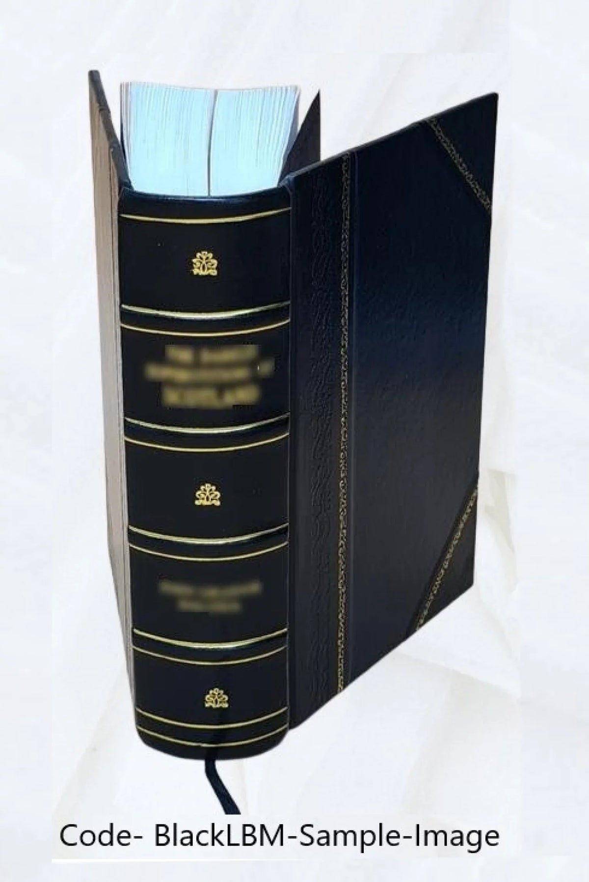 C. quae [Leather Burnouf Crispi Bound] I.L. Sallustii exstant cum indicibus omnia curante 1827 Opera