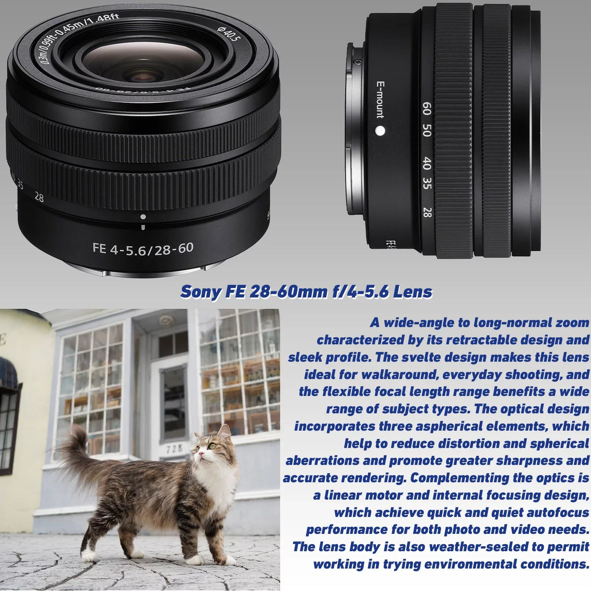 72” Deluxe Lightweight a6400 Alpha FE SanDisk with & Tripod Accessory Camera + Ultimaxx Much 64GB More Ultra Manual & 28-60mm f/1.8 Lens 25mm SDXC, Bundle: f/4-5.6 Lens Mirrorless Digital