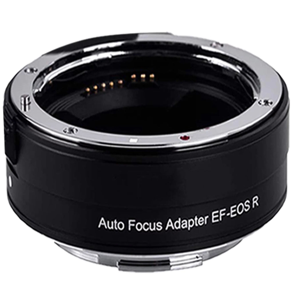 '+ Digital Canon SanDisk + Bundle with EOS R6 RF 24-105mm + Mount Adapter Mirrorless Lens Accessory ZeeTech Camera 64GB STM