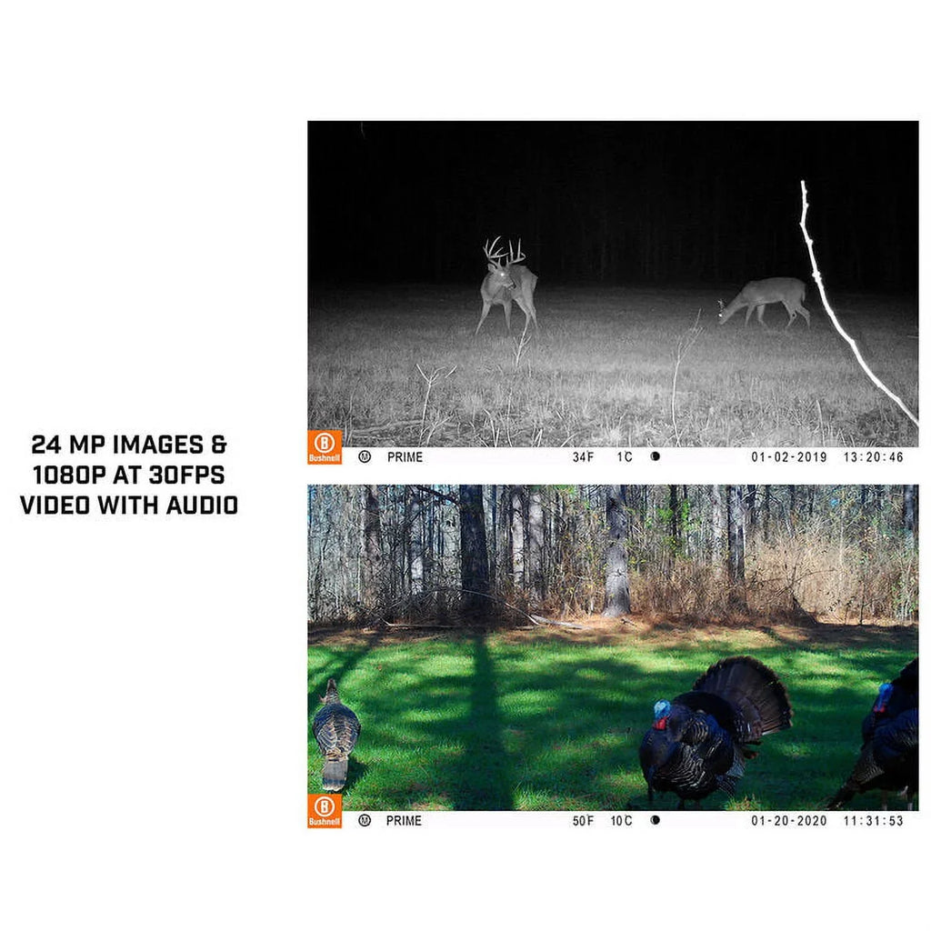 Trail 24MP BUS119932M Glow Low Tan Camera, Prime Bushnell