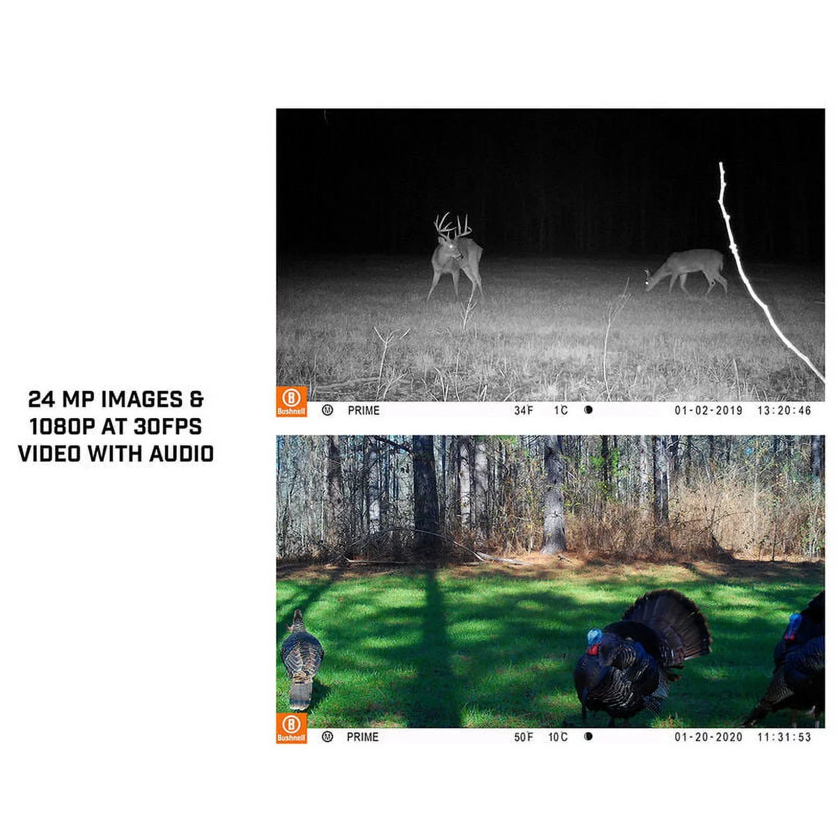 Trail 24MP BUS119932M Glow Low Tan Camera, Prime Bushnell