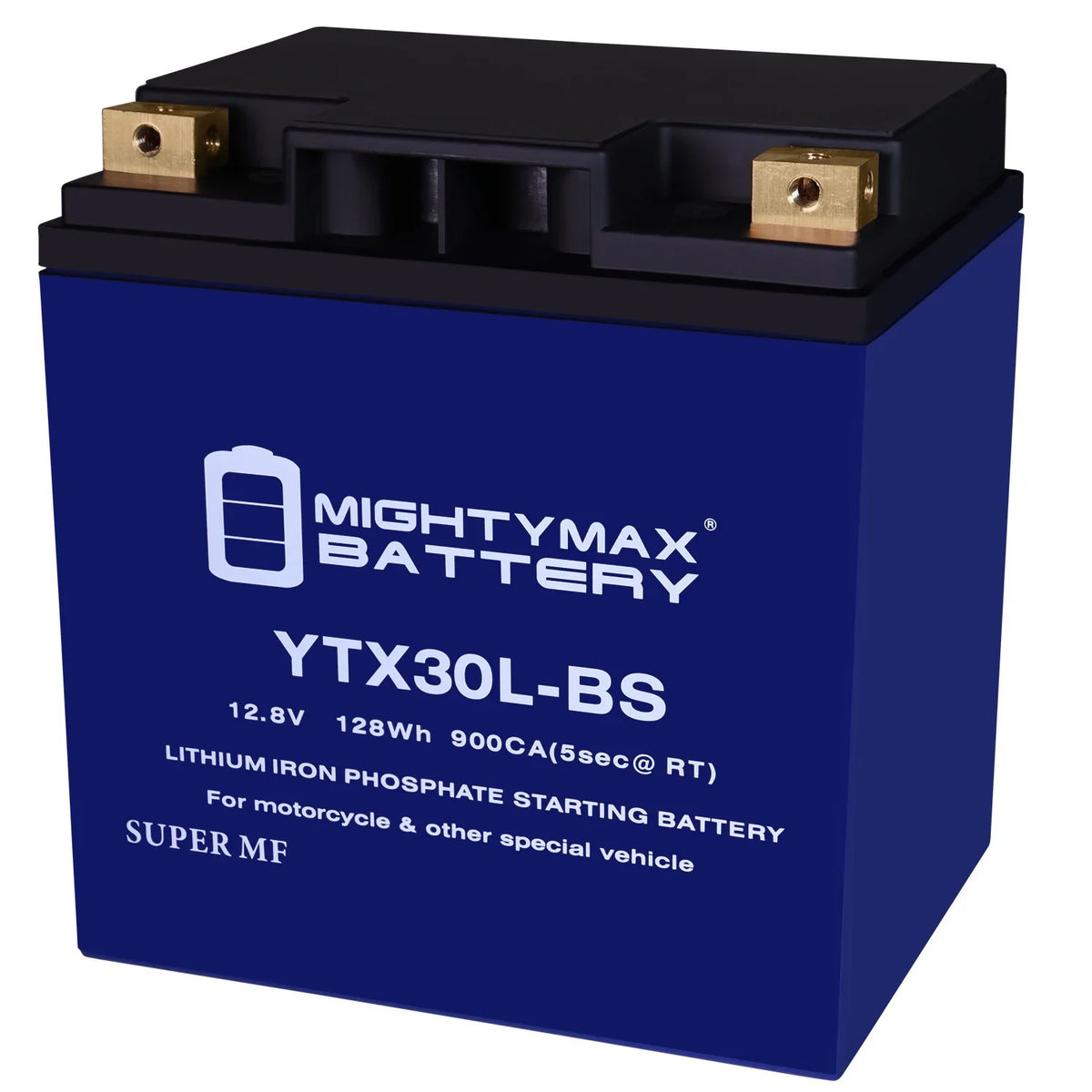Sea Bombardier Battery Lithium Polaris Doo compatible YTX30L-BS GTX Replacement with